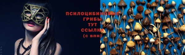 ECSTASY Сатка