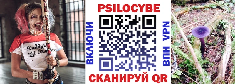 сколько стоит  Ярцево  мега ССЫЛКА  Псилоцибиновые грибы GOLDEN TEACHER 