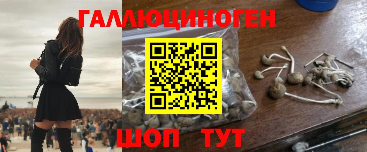 Галлюциногенные грибы Cubensis  наркошоп  Ярцево  Галлюциногенные грибы Cubensis  Вход с VPN 